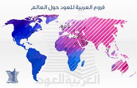 فروع وتفرعات النجاح